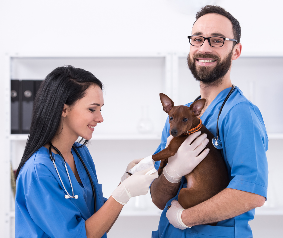 TOP TIPS FOR RECRUITMENT OF VETERINARY SURGEONS AND NURSES